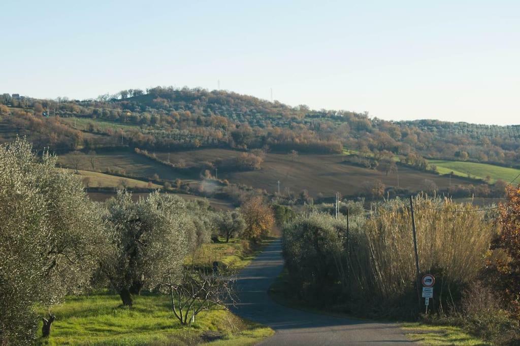 Le Casette Country House 2 Petricci Экстерьер фото